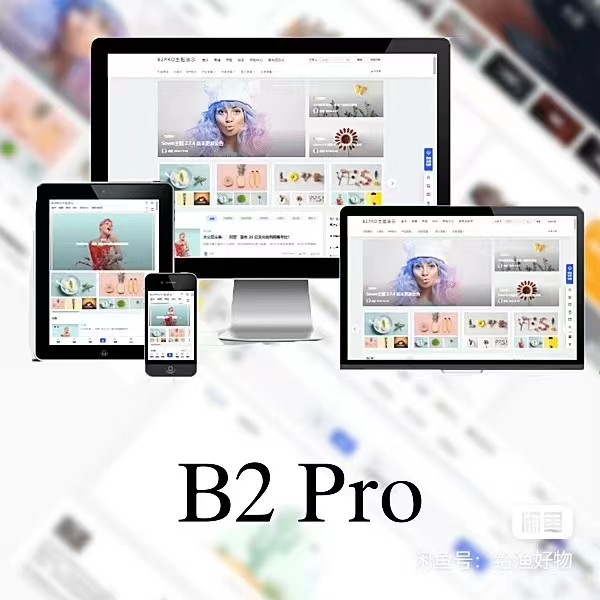 WordPress B2 Pro 主题5.2.0最新开心版,附带官方包体与授权文件-专业网站源码、源码下载、源码交易、php源码服务平台-游侠网