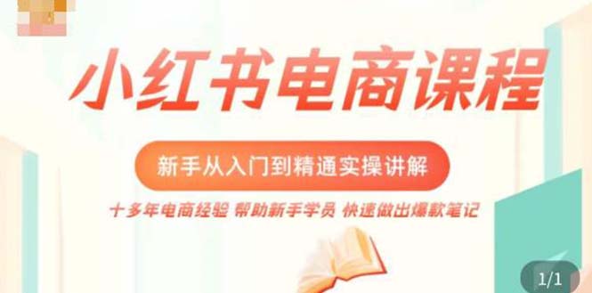 小红书电商新手入门到精通实操课，从入门到精通做爆款笔记，开店运营-专业网站源码、源码下载、源码交易、php源码服务平台-游侠网