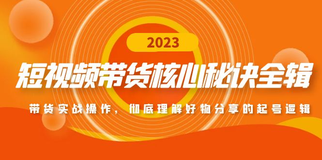 抖音快手视频号取图项目，个人工作室可批量操作，零成本轻松日赚几百【保姆级教程】-专业网站源码、源码下载、源码交易、php源码服务平台-游侠网