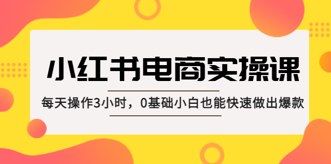 小红书·电商实操课：每天操作3小时，0基础小白也能快速做出爆款！-专业网站源码、源码下载、源码交易、php源码服务平台-游侠网