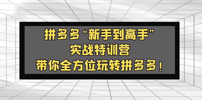 拼多多“新手到高手”实战特训营：带你全方位玩转拼多多！-专业网站源码、源码下载、源码交易、php源码服务平台-游侠网