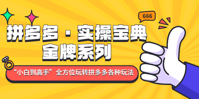 拼多多·实操宝典：金牌系列“小白到高手”带你全方位玩转拼多多各种玩法-专业网站源码、源码下载、源码交易、php源码服务平台-游侠网