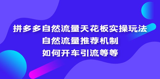 拼多多自然流量天花板实操玩法：自然流量推荐机制，如何开车引流等等-专业网站源码、源码下载、源码交易、php源码服务平台-游侠网