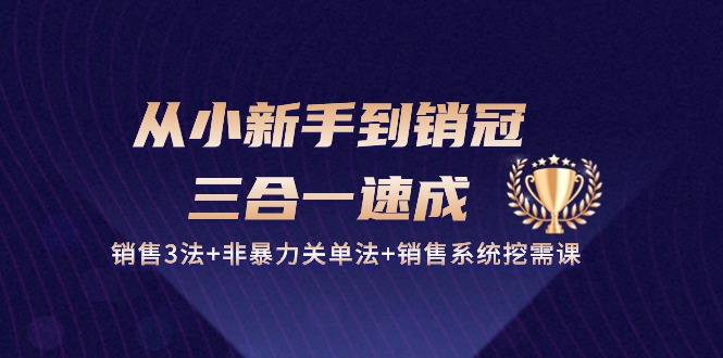 （10799期）从小新手到销冠 三合一速成：销售3法+非暴力关单法+销售系统挖需课 (27节)-专业网站源码、源码下载、源码交易、php源码服务平台-游侠网