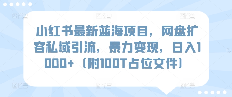 小红书最新蓝海项目，网盘扩容私域引流，暴力变现，日入1000+（附100T占位文件）-专业网站源码、源码下载、源码交易、php源码服务平台-游侠网