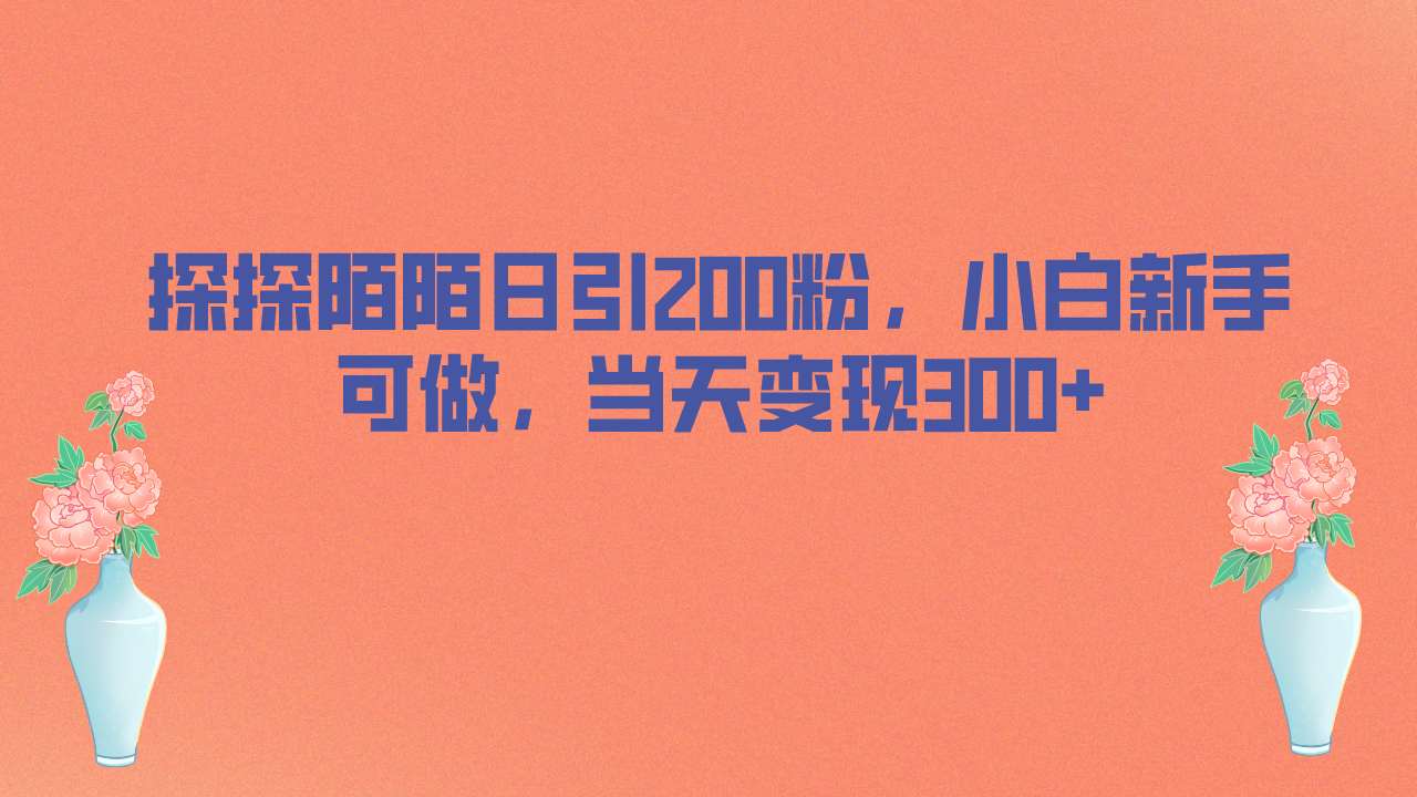 探探陌陌日引200粉，小白新手可做，当天就能变现300+-专业网站源码、源码下载、源码交易、php源码服务平台-游侠网