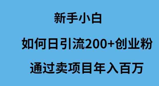 （9668期）新手小白如何日引流200+创业粉通过卖项目年入百万-专业网站源码、源码下载、源码交易、php源码服务平台-游侠网