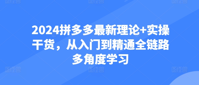 2024拼多多最新理论+实操干货，从入门到精通全链路多角度学习-专业网站源码、源码下载、源码交易、php源码服务平台-游侠网