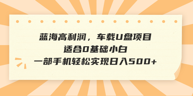 蓝海高利润，车载U盘项目，适合0基础小白，一部手机轻松实现日入500+-专业网站源码、源码下载、源码交易、php源码服务平台-游侠网