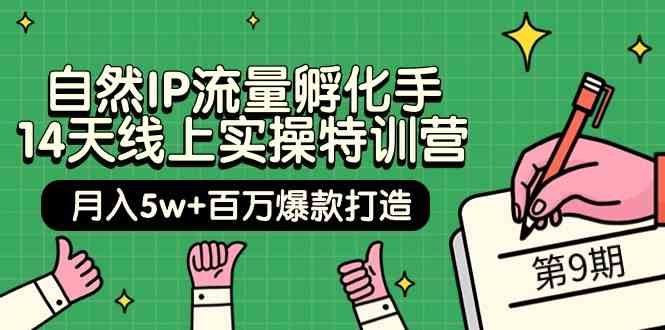 （9881期）自然IP流量孵化手 14天线上实操特训营【第9期】月入5w+百万爆款打造 (74节)-专业网站源码、源码下载、源码交易、php源码服务平台-游侠网