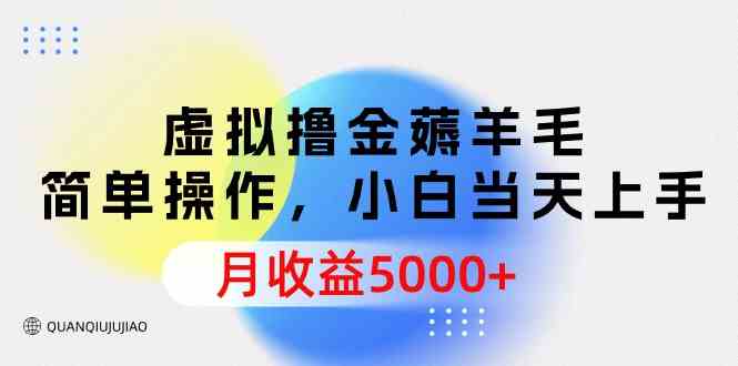 （9864期）虚拟撸金薅羊毛，简单操作，小白当天上手，月收益5000+-专业网站源码、源码下载、源码交易、php源码服务平台-游侠网