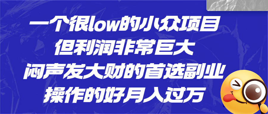 一个很low的小众项目，但利润非常巨大，闷声发大财的首选副业，月入过万-专业网站源码、源码下载、源码交易、php源码服务平台-游侠网