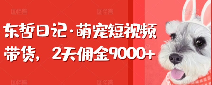 东哲日记·萌宠短视频带货，2天佣金9000+-专业网站源码、源码下载、源码交易、php源码服务平台-游侠网