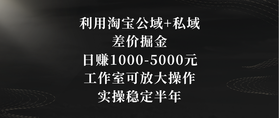 利用淘宝公域+私域差价掘金，日赚1000-5000元，工作室可放大操作，实操…-专业网站源码、源码下载、源码交易、php源码服务平台-游侠网