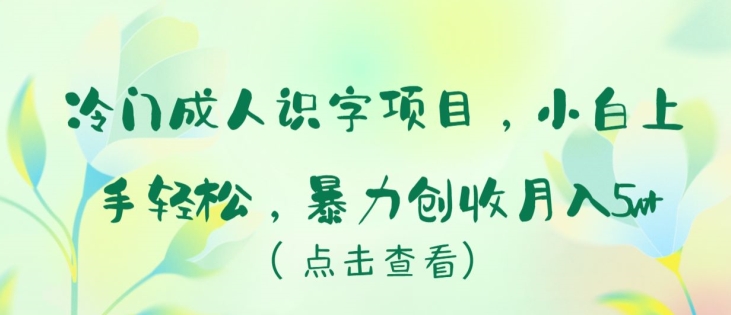 冷门成人识字项目，小白上手轻松，暴力创收月入5w+-专业网站源码、源码下载、源码交易、php源码服务平台-游侠网