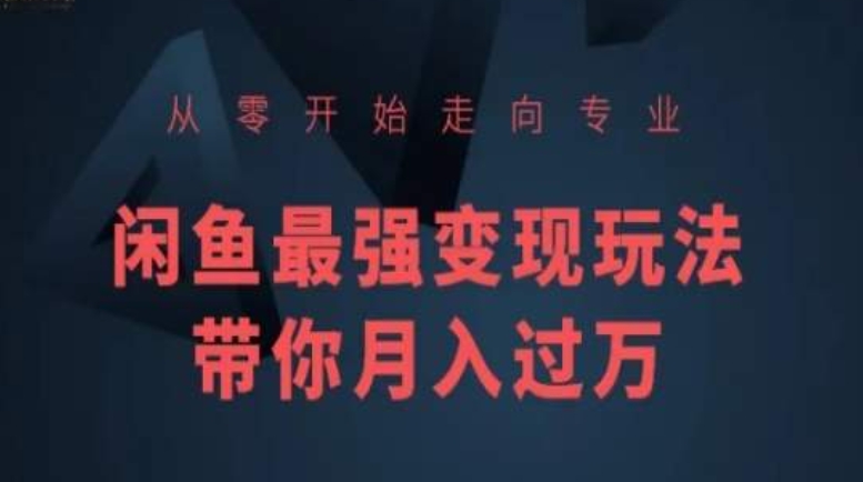 从零开始走向专业，闲鱼最强变现玩法带你月入过万-专业网站源码、源码下载、源码交易、php源码服务平台-游侠网