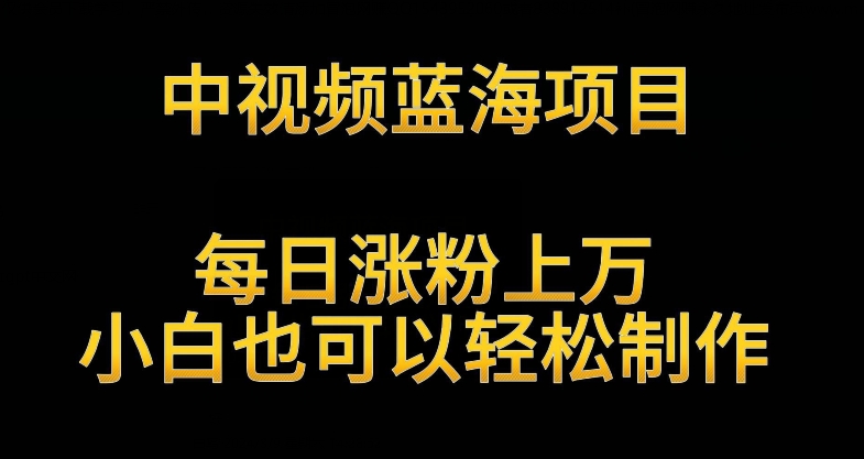 中视频蓝海项目，解读英雄人物生平，每日涨粉上万，小白也可以轻松制作，月入过万不是梦-专业网站源码、源码下载、源码交易、php源码服务平台-游侠网