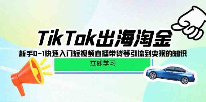 TikTok出海淘金，新手0-1快速入门短视频直播带货等引流到变现的知识-专业网站源码、源码下载、源码交易、php源码服务平台-游侠网