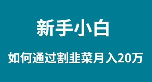 （9308期）新手小白如何通过割韭菜月入 20W-专业网站源码、源码下载、源码交易、php源码服务平台-游侠网