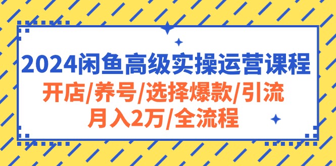 （10711期）2024闲鱼高级实操运营课程：开店/养号/选择爆款/引流/月入2万/全流程-专业网站源码、源码下载、源码交易、php源码服务平台-游侠网