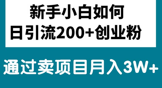 （10843期）新手小白日引流200+创业粉,通过卖项目月入3W+-专业网站源码、源码下载、源码交易、php源码服务平台-游侠网