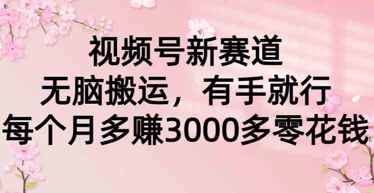 （9277期）视频号新赛道，无脑搬运，有手就行，每个月多赚3000多零花钱-专业网站源码、源码下载、源码交易、php源码服务平台-游侠网