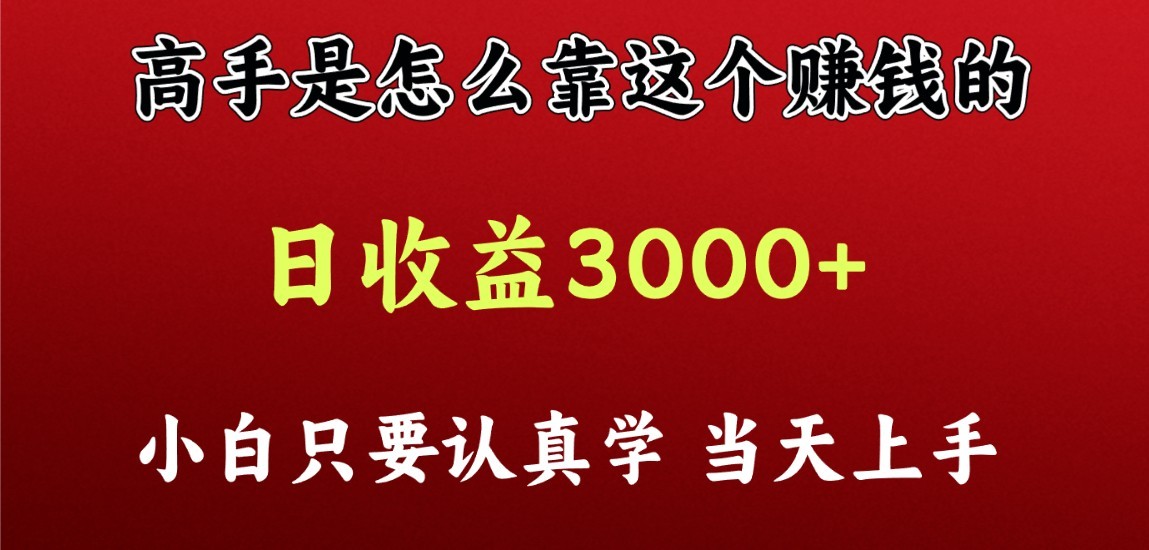 看高手是怎么赚钱的，一天收益至少3000+以上，小白当天上手-专业网站源码、源码下载、源码交易、php源码服务平台-游侠网