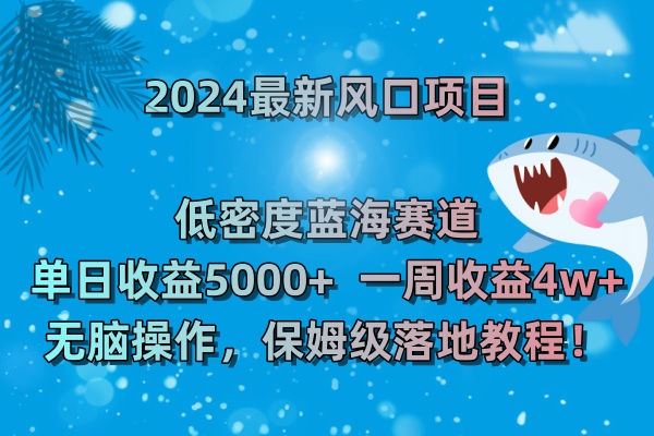 2024最新风口项目 低密度蓝海赛道，日收益5000+周收益4w+ 无脑操作-专业网站源码、源码下载、源码交易、php源码服务平台-游侠网