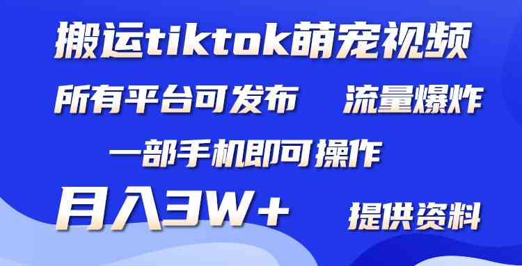 （9618期）搬运Tiktok萌宠类视频，一部手机即可。所有短视频平台均可操作，月入3W+-专业网站源码、源码下载、源码交易、php源码服务平台-游侠网