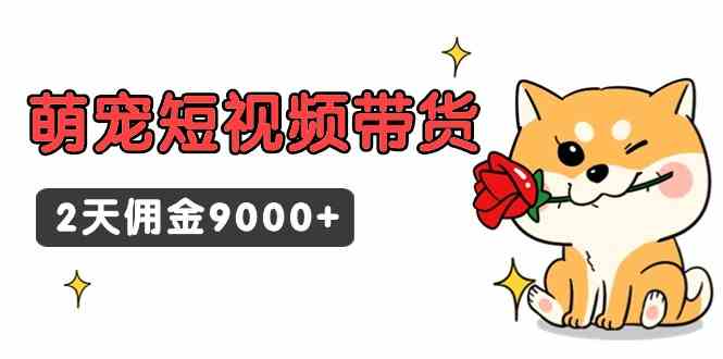 （9273期）东哲日记·萌宠短视频带货，2天佣金9000+-专业网站源码、源码下载、源码交易、php源码服务平台-游侠网