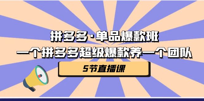 拼多多·单品爆款班，一个拼多多超级爆款养一个团队（5节直播课）-专业网站源码、源码下载、源码交易、php源码服务平台-游侠网