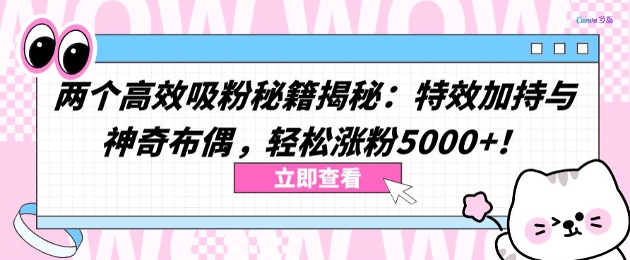 两个高效吸粉秘籍揭秘：特效加持与神奇布偶，轻松涨粉5000+-专业网站源码、源码下载、源码交易、php源码服务平台-游侠网