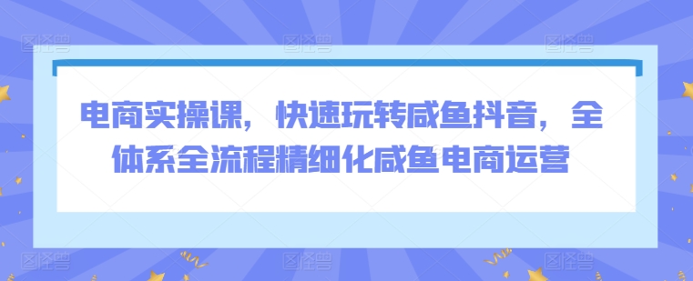 电商实操课，快速玩转咸鱼抖音，全体系全流程精细化咸鱼电商运营-专业网站源码、源码下载、源码交易、php源码服务平台-游侠网