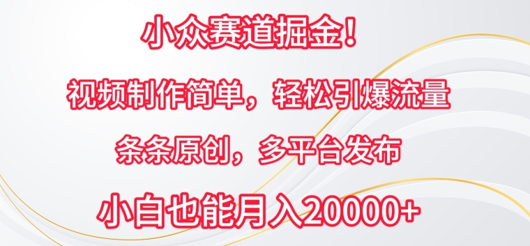 小众赛道掘金，视频制作简单，轻松引爆流量，条条原创，多平台发布-专业网站源码、源码下载、源码交易、php源码服务平台-游侠网