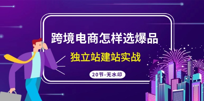 跨境电商怎样选爆品，独立站建站实战（20节高清课）-专业网站源码、源码下载、源码交易、php源码服务平台-游侠网