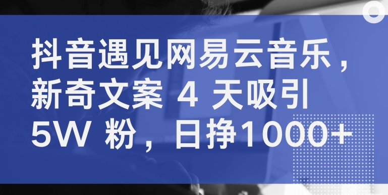 抖音遇见网易云音乐，新奇文案 4 天吸引 5W 粉，日挣1000+-专业网站源码、源码下载、源码交易、php源码服务平台-游侠网