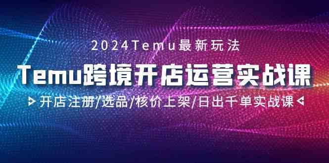 2024Temu跨境开店运营实战课，开店注册/选品/核价上架/日出千单实战课-游侠网