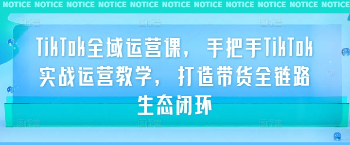 TikTok全域运营课，手把手TikTok实战运营教学，打造带货全链路生态闭环-专业网站源码、源码下载、源码交易、php源码服务平台-游侠网